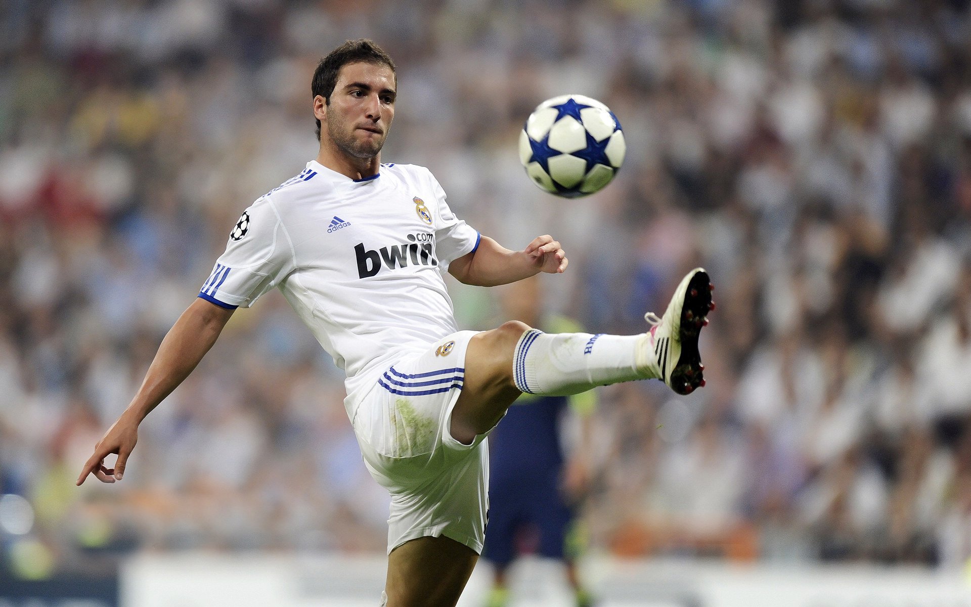 外援引进政策需与本土发展相结合，外援规划政策